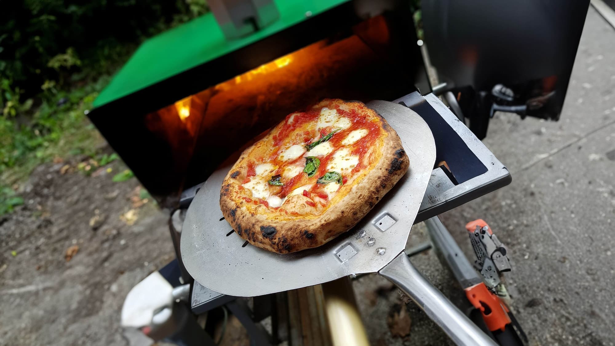 Pizza Masa Madre