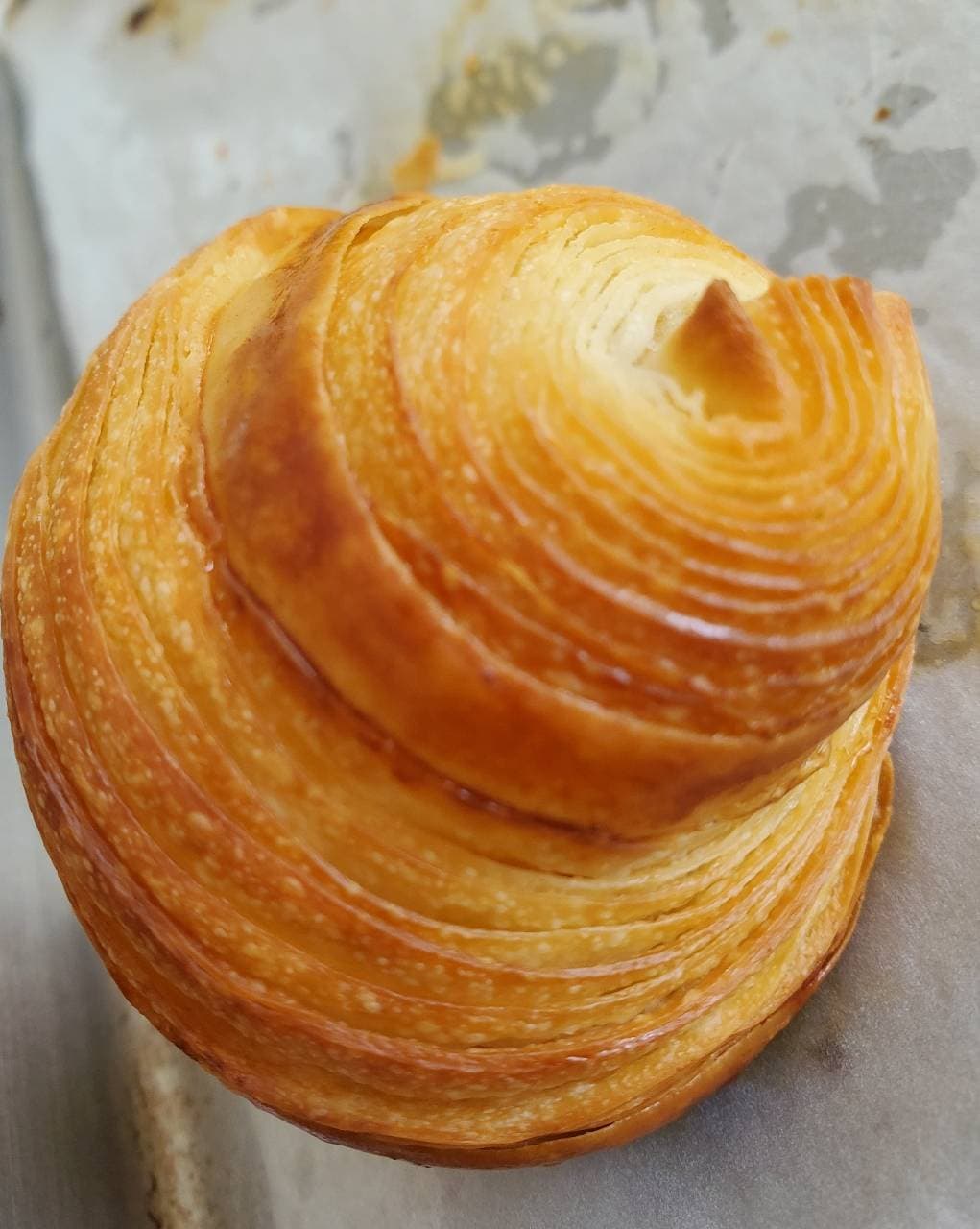 LAMINADO FRIENDLY F/ CROISSANTS (2/2)