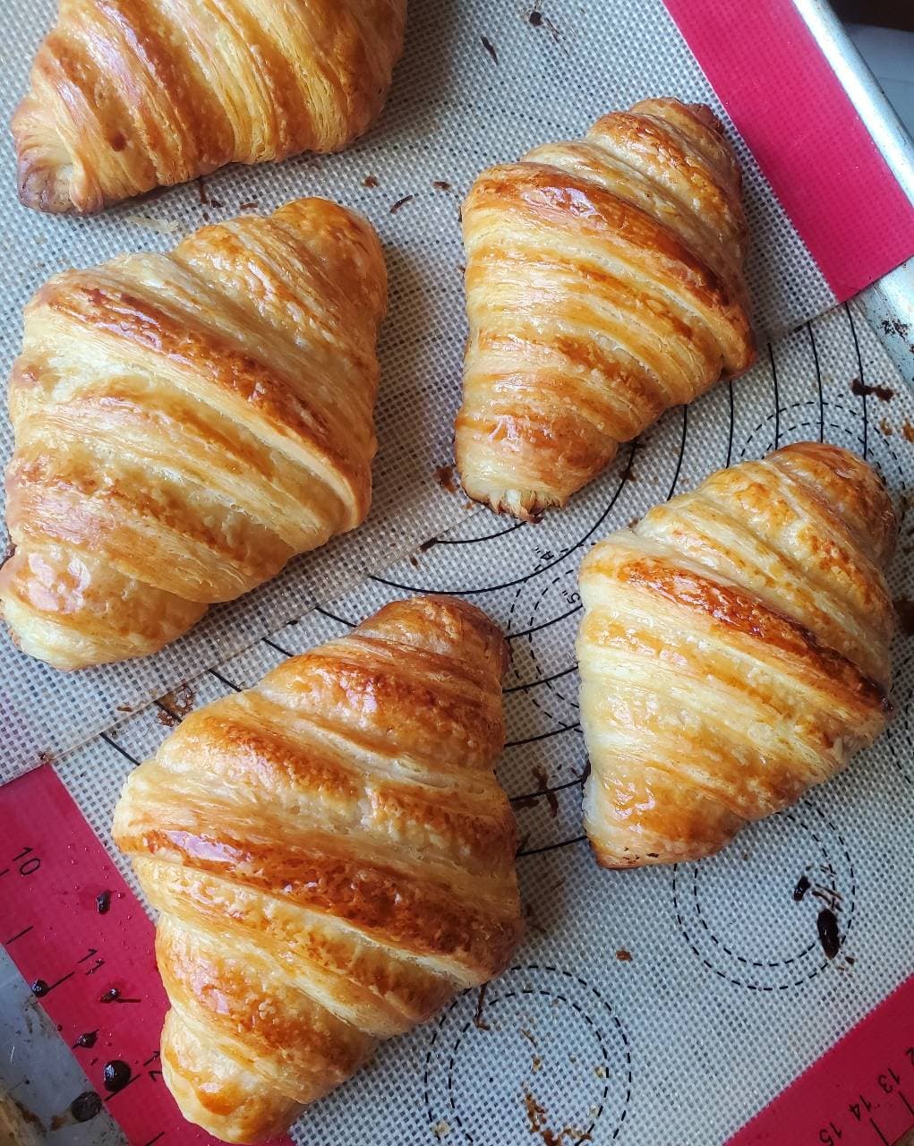 LAMINADO FRIENDLY F/ CROISSANTS (1/2)