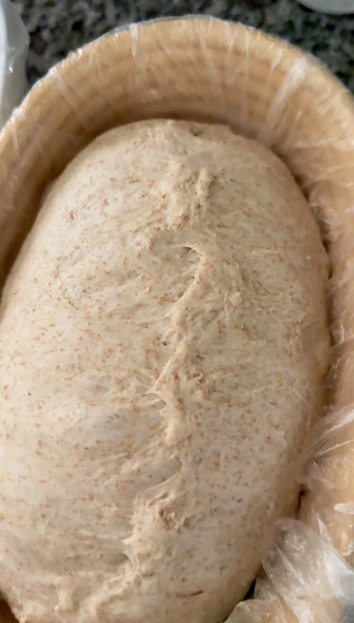 Porque el formado en un pan de masa madre es un paso muy importante? Que aporta? (1/2)