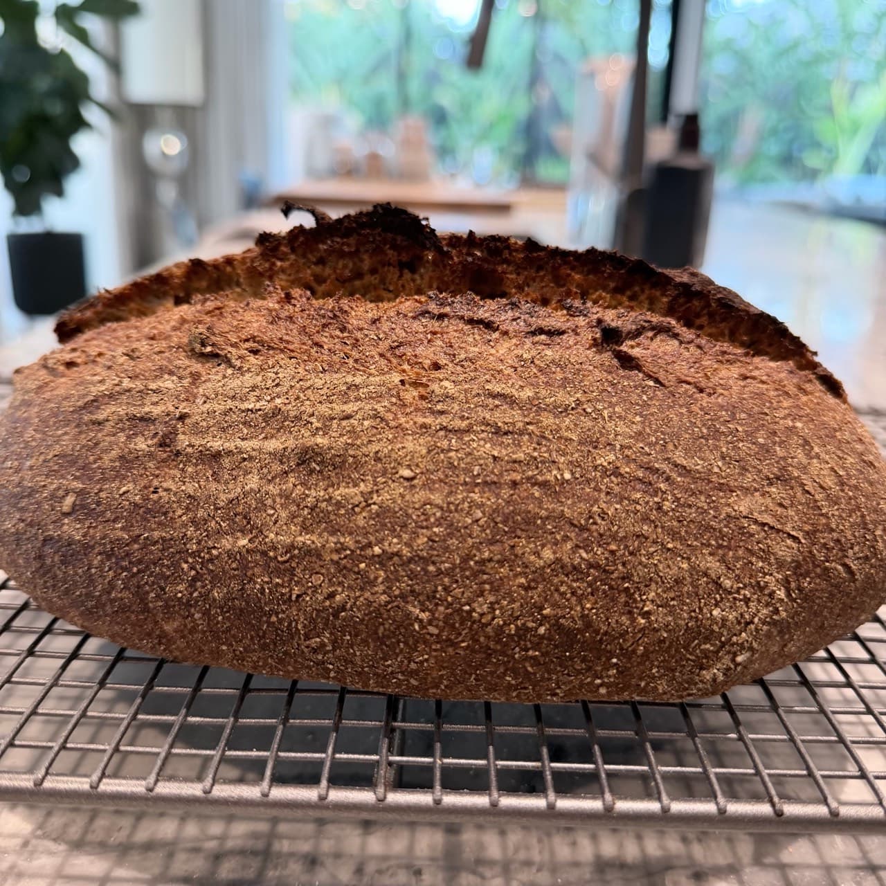 My attempt at Alpen Brot.
I’ve made it without the spices as I didn’t have them (1/2)