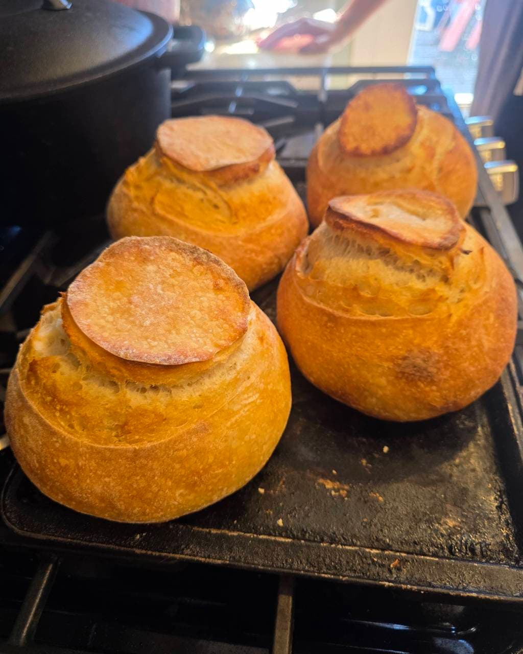 sourdough bread bowls. 2nd attempt and perfect bowls. did a semi pasta madre met (2/2)