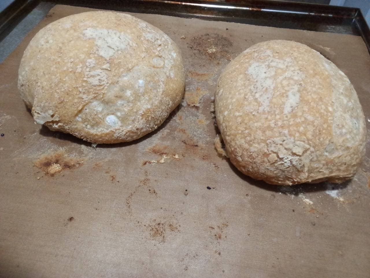 Hola buenas con todos, es mi primera publicación y literal mi primer intento de