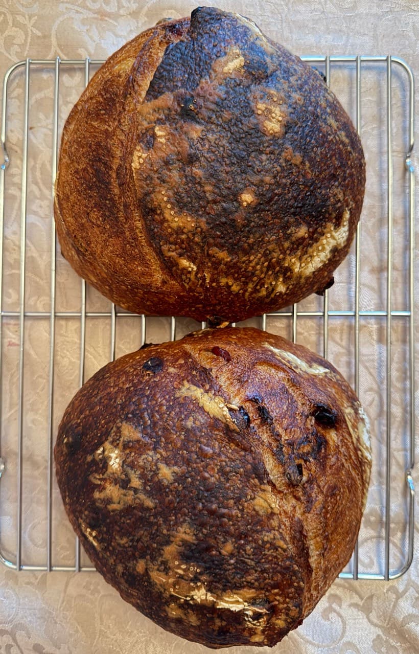 RUSTIC SCALDED BREAD WITH CRANBERRIES
SCALD (ZAVARKA):
Whole-grain rye flour (