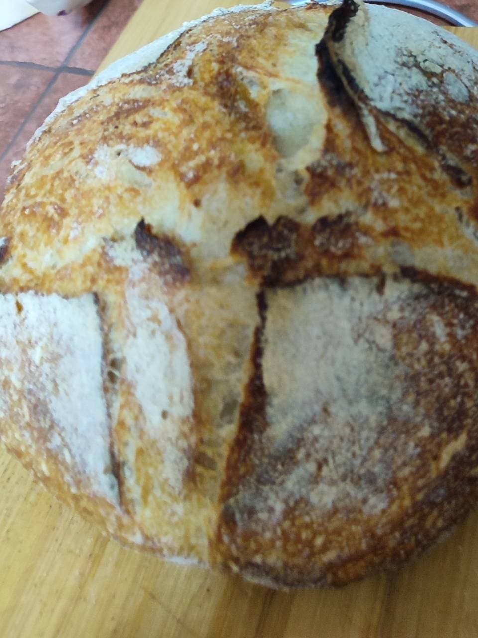 Después de tantas masas madre fallidas, por fin pude hacer mi primer pan de masa (2/4)