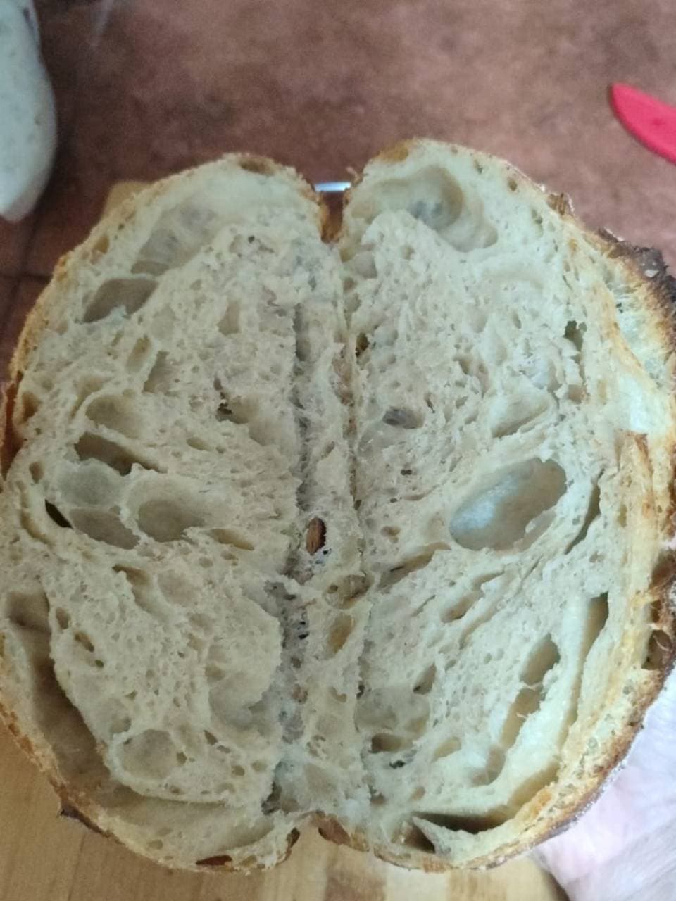 Después de tantas masas madre fallidas, por fin pude hacer mi primer pan de masa (3/4)