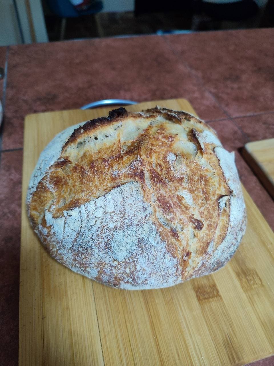 Después de tantas masas madre fallidas, por fin pude hacer mi primer pan de masa (1/4)