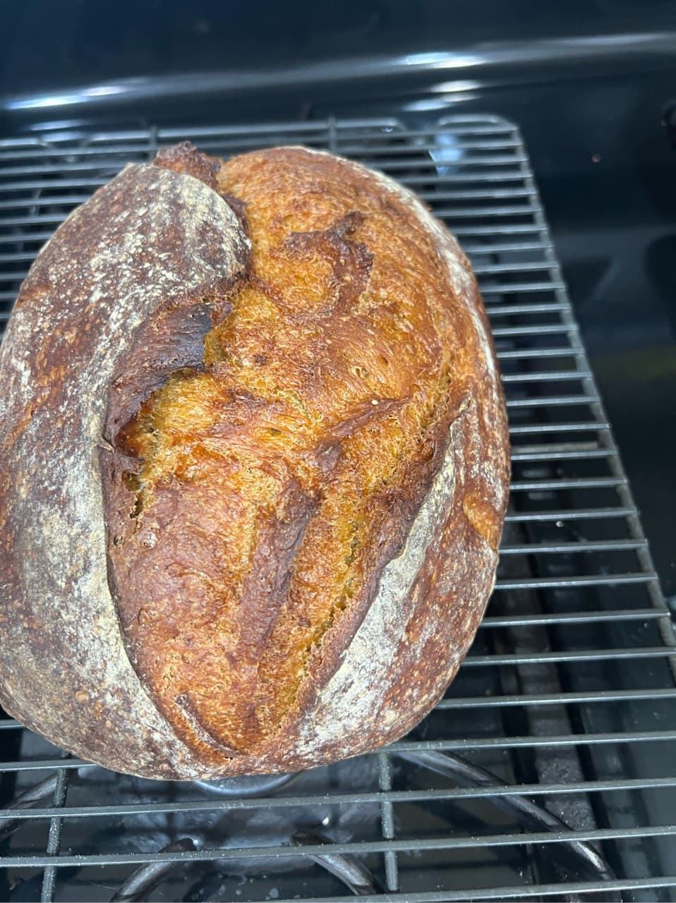 Pumpkin sourdough bread
100g active starter
140 gm canned pumpkin 🎃
250 gm w (2/2)