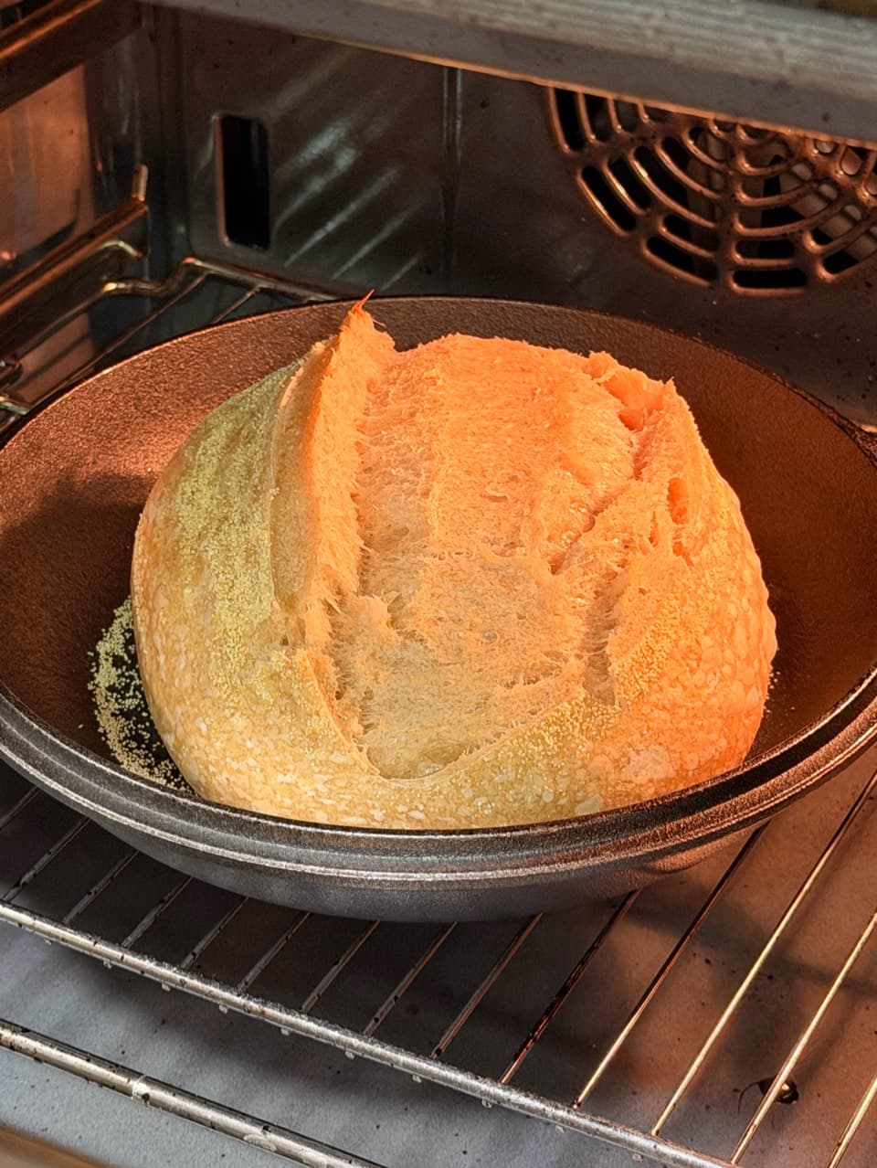 Third sourdough bake – experimenting with a much longer fermentation 🍞
The dou (2/2)