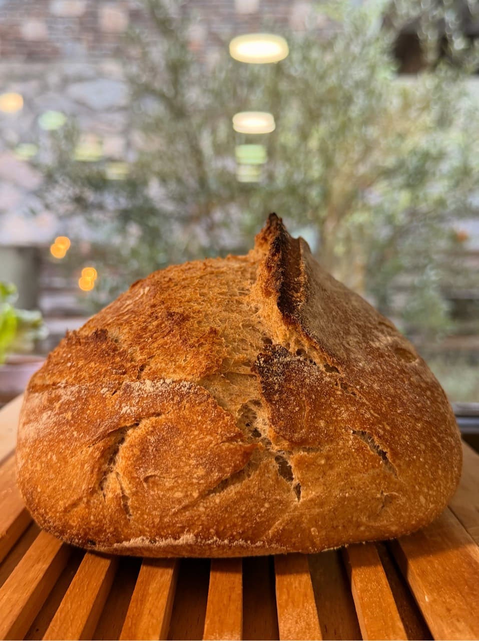 50% whole wheat sourdough
Really happy with this one: good oven spring, a nice (1/2)