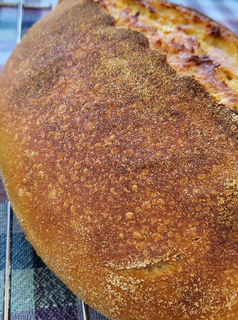 Multigrain Sourdough Bread
Water 375g
Sourdough starter 101g
Durum wheat flour (2/3)