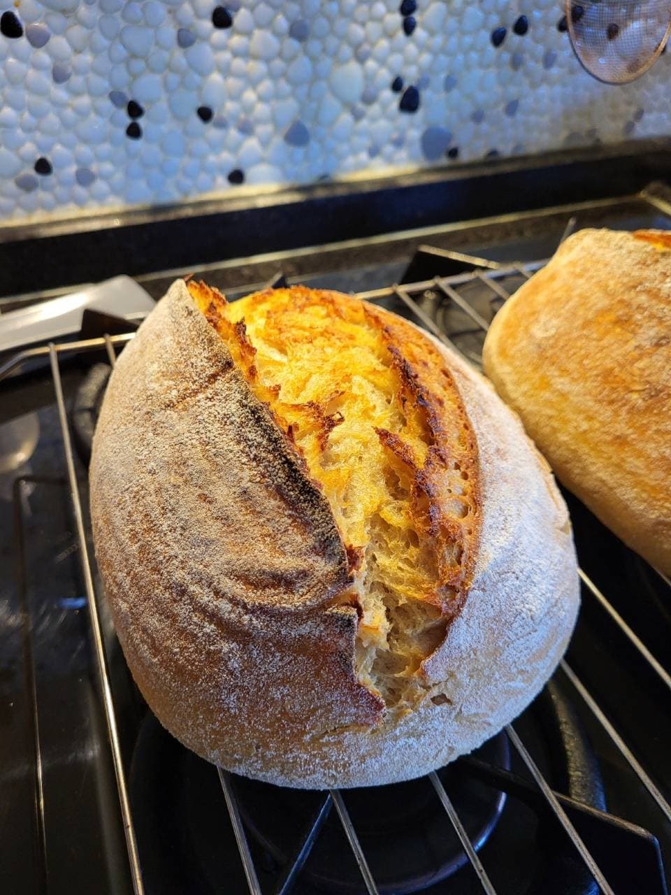 My usual multi graind Sourdough bread, but thus time I reduced Durum wheat flour (2/3)