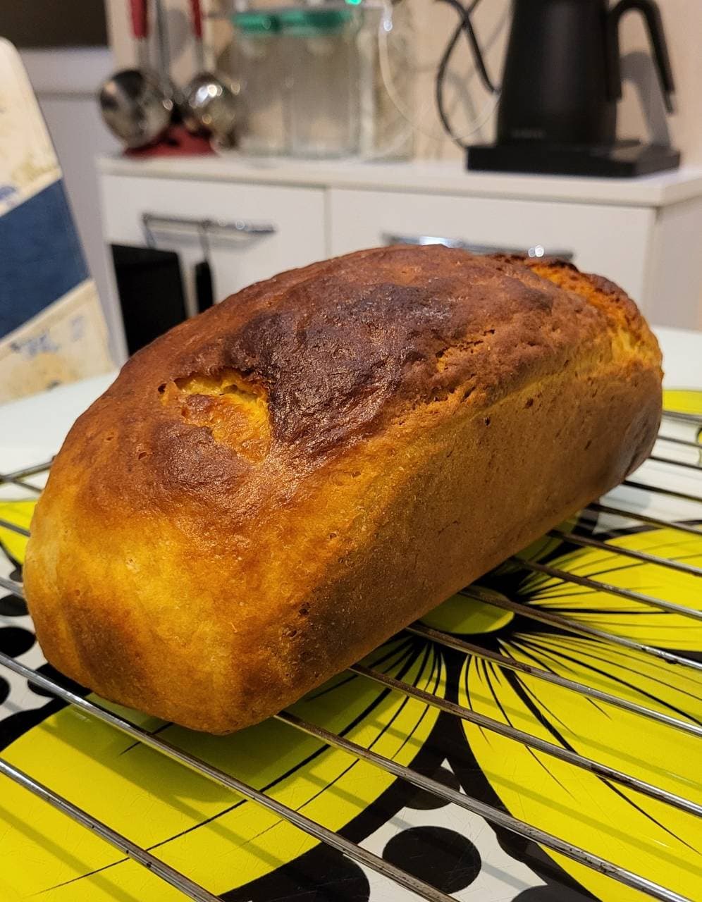 My first sandwich bread!
Came out over fermented, over baked! But the crumb is s (1/3)