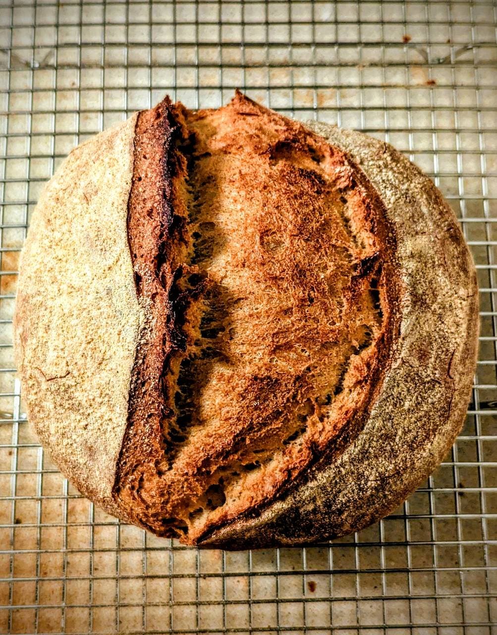 First batch of bread from my own cultivated grape yeast 🍇🍞😋 Makes for a perfe (2/2)