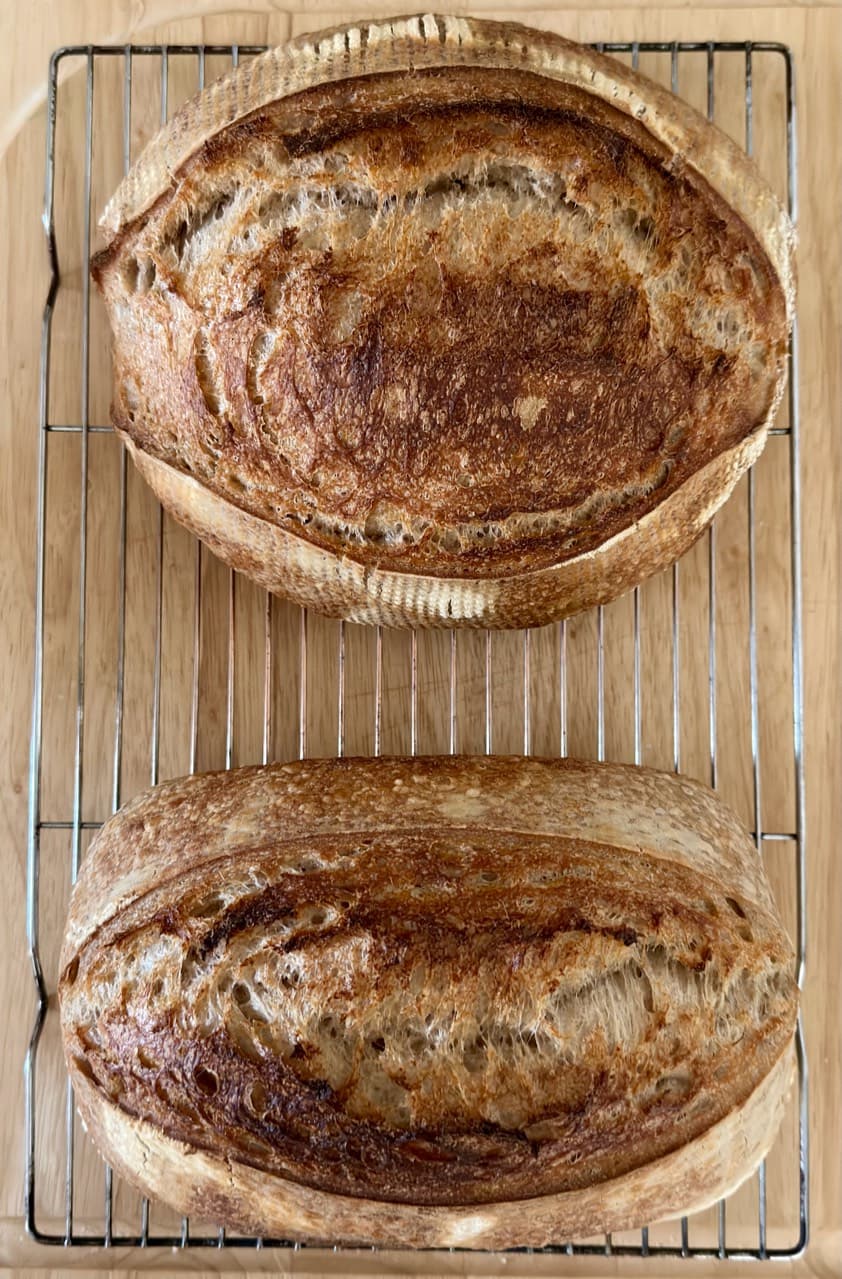 Making 2 sourdough loaves, back at it! September 15
Like I always say (and neve (1/4)